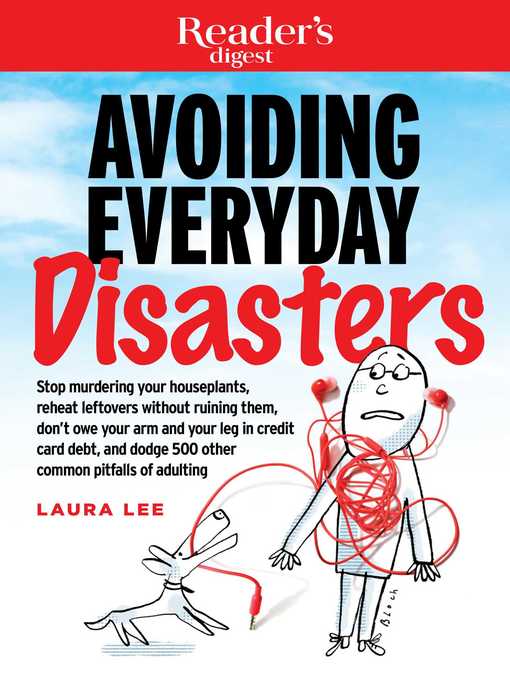 Cover image for Avoiding Everyday Disasters
